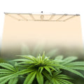 Stretch-shrink LED Grow Light (1000W)