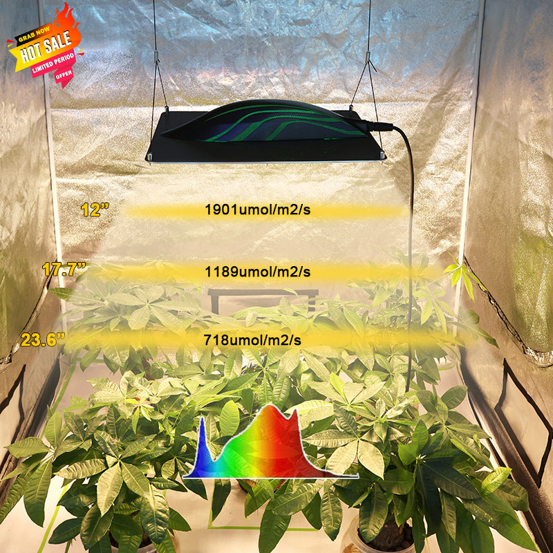 Quantum Board Led Grow Light (320W)