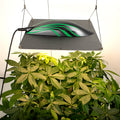 Quantum Board Led Grow Light (320W)
