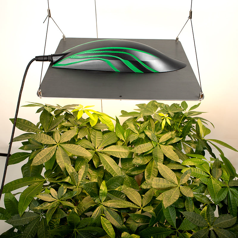 Quantum Board Led Grow Light (320W)