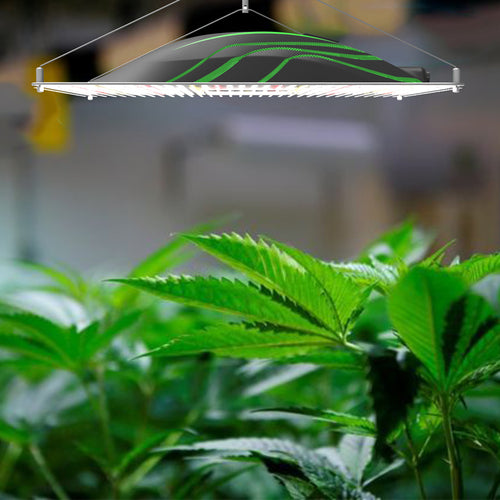 Quantum Board Led Grow Light (320W)